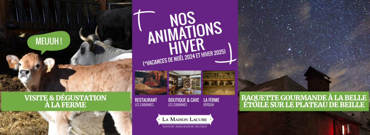 Animations hiver